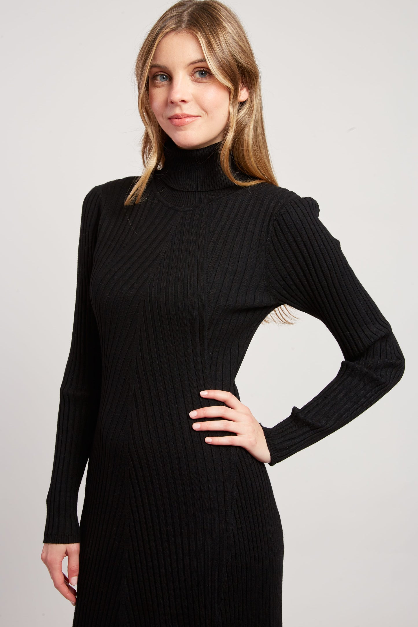 Derhy Black Rib Roll Neck Dress Joconde